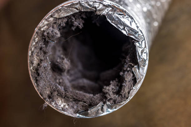 Best Air Duct Cleaning Near Me  in , NE
