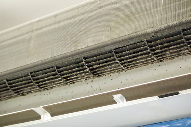 Best Home Air Vent Cleaning  in , NE